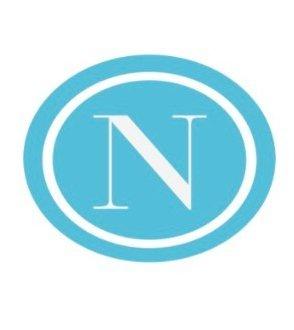 Nikolic Group Real Estate LOGO