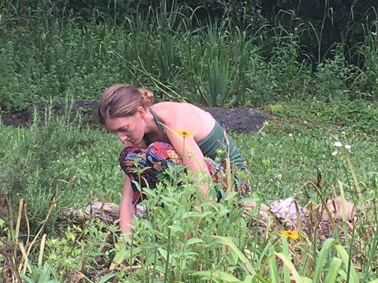 Harvesting medicinals to make a salve.