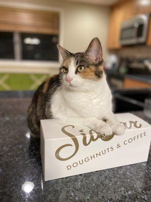 Excellent doughnuts. The cat approves.