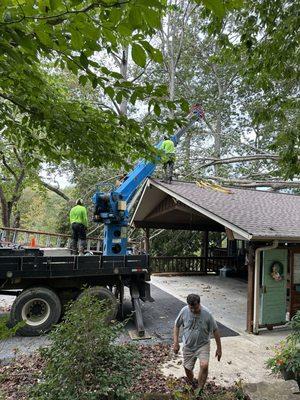 Nick Greene's Tree Service