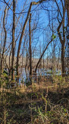 40 Acre Rock Heritage Preserve