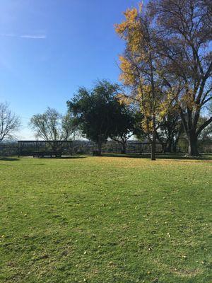 Large spacious grass area near the entrance to walk your dog or have a picnic.