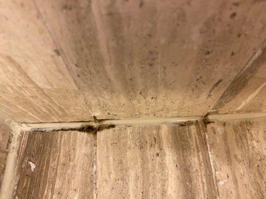 Mold in the shower