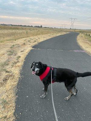 Tail Wag Inn Veterinary Hospital