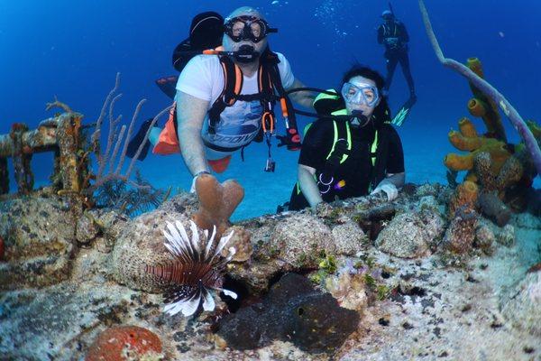 Lion fish