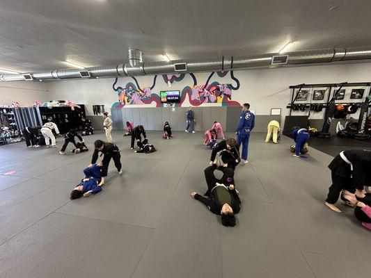 Kids jiu jitsu class