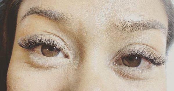 Pretty natural c curl volume lashes