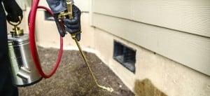 Proffesional Pest Control Portland Or Vancouver Wa