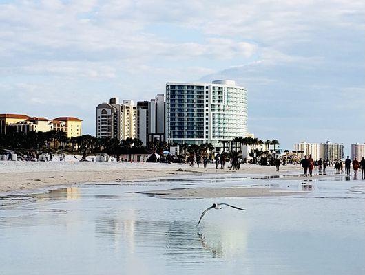 Opal Sands Resort Clearwater Beach