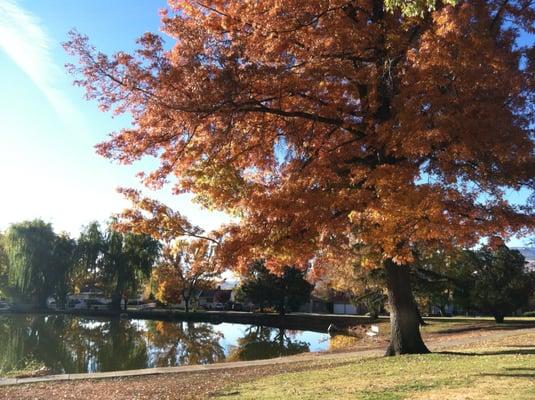 early november at Lake Park (2012)