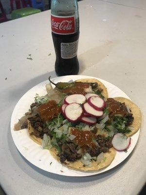 Están ricos los tacos