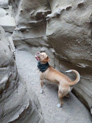 Lyra staring in awe at the Slot Canyon