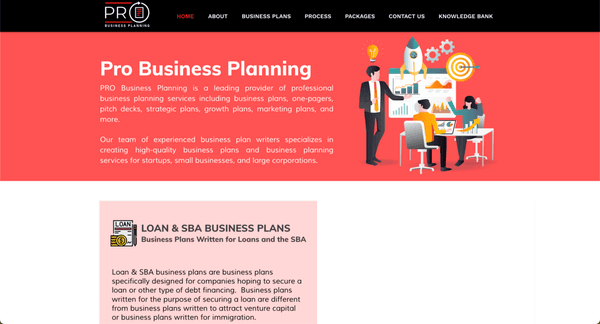 Pro Business Planning