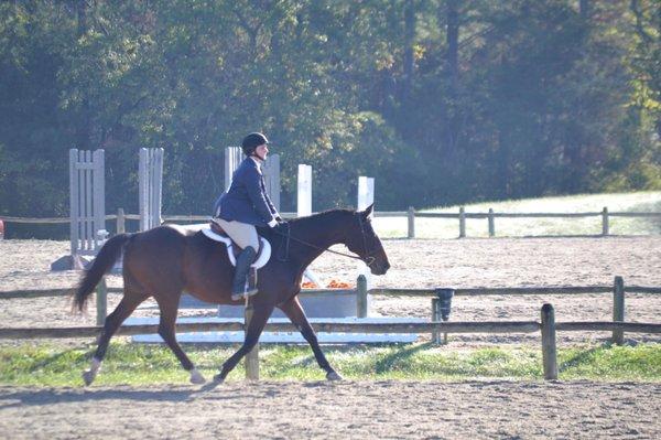 Goose at a show!