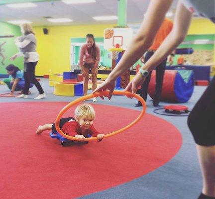 Hoops and Gym Carts