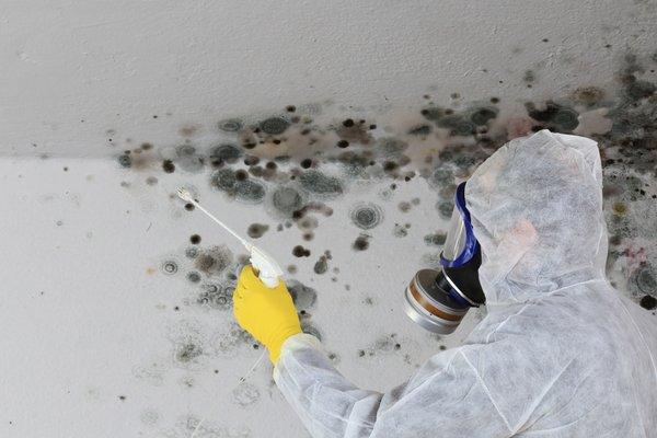 Team member removing mold