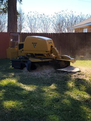 Stump Grinder