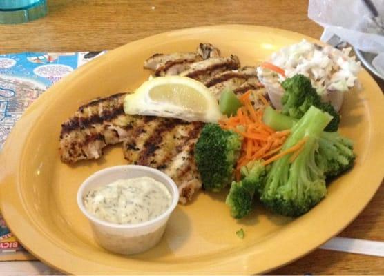 Grouper plate. Taken July 2013.