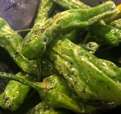 Blistered shisito peppers