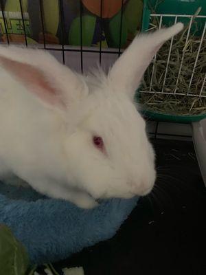 Murphy was 'hoppy' to have you visit!