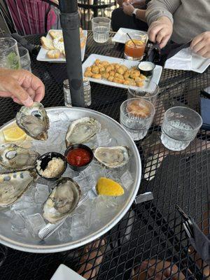 Huge oysters, garlic cheese curds