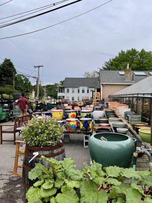 The Beautiful colorful  array of plants & flowers outside the store  @ Wilson Farm in Lexington MA.