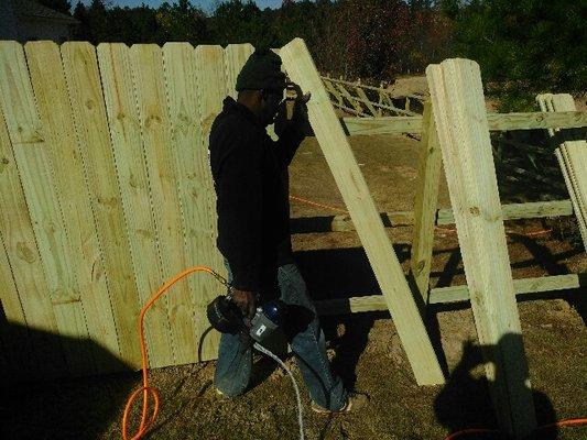 Franklin nailing pickets on  a 6' Privacy Pressure Treated Pine Fence