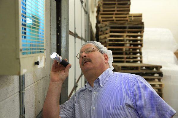 Inspecting fly lights in a food manufacturing plant.