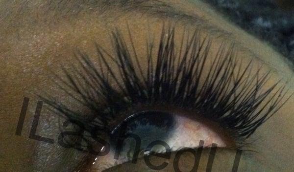 Xtreme Lashes