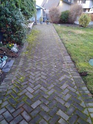 Residential Property Pressure Washing and Moss Removal Treatment (before)