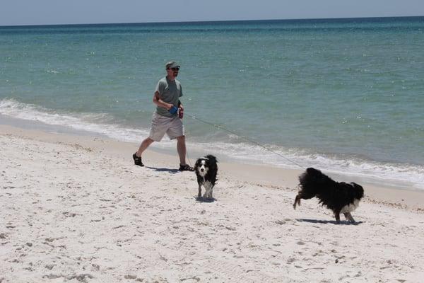 Pet Friendly Beaches