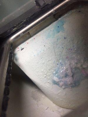 Mold in the detergent compartments.