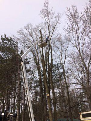 Tree Removal in Hudsonville, Michigan