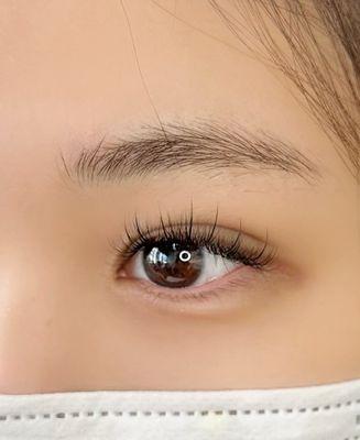 Wispy hybrid lashes