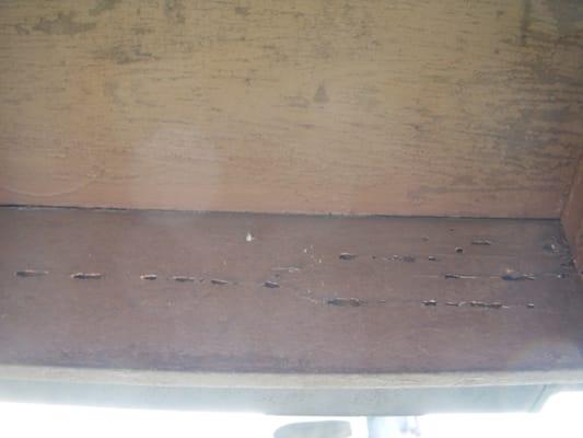 Termites above balcony