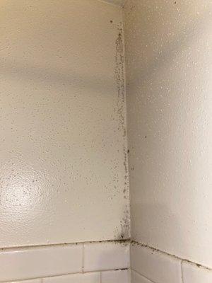 A whole lotta mold in the shower