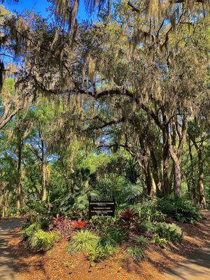 Jacksonville Arboretum