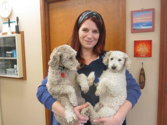 Vet Assistant Bee cuddles with Chip and Mimi.  Chip was at the clinic today for some dental work.  He did great!