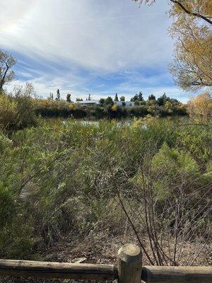 There are some apparent homeless tents set up in those bushes near the water.