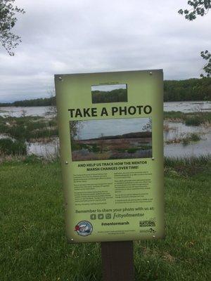 They want us to take a photo/ record what's happening so we can visualize the improvements of the Mentor Marsh Project.