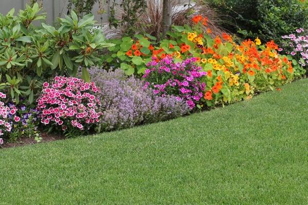 Affordable Lawn & Yard Care Service.  Were Eco Friendly!  Call us Today at (206)784-3733