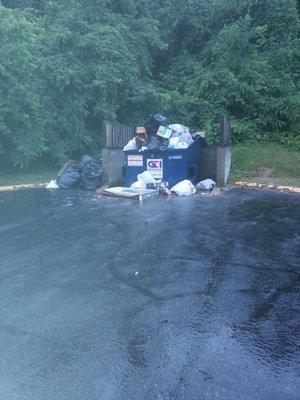 The worst for this trash vendor to leave trash in the road while emptying trash today. Awful