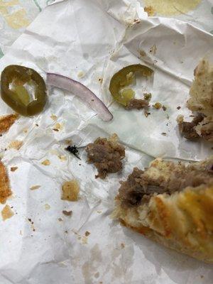 Fly in the sandwich I took out