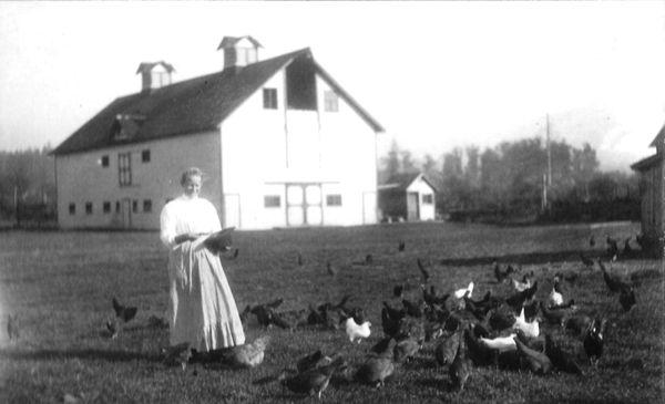 Bergitte feeding chickens - 1920's