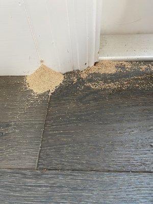 Evidence of termites.  David fixed this problem for me!