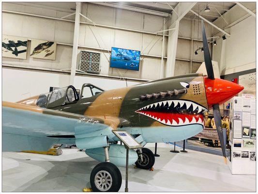 Curtis P-40. It can bite you in the a$$.