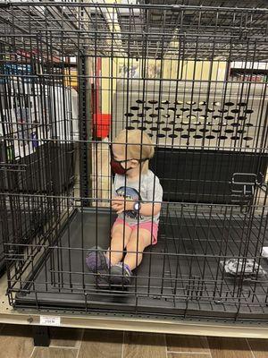 My child who wanted to get into one of the dog kennels.