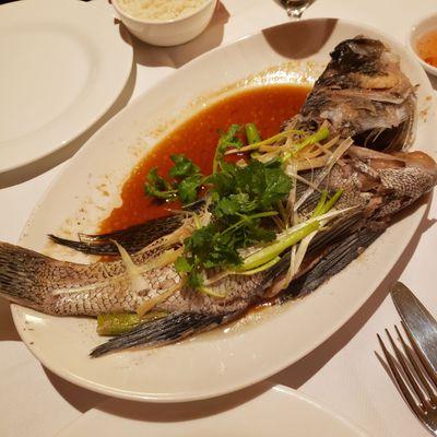 Steamed Whole Sea Bass