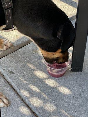 yes, we gave some to our dog as a treat. They don't have pup cups.