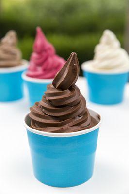 Chocolate Fudge Sorbet